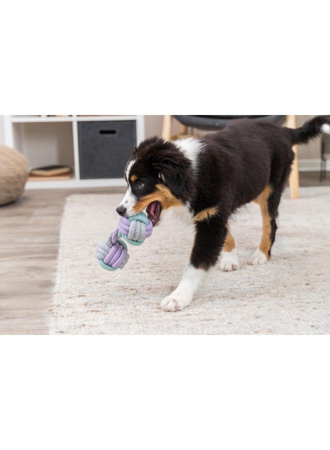 تريكسي لعبة دمبل حبلية صغيرة ذاتية اللعب للكلاب العدوانية التي تمضغ للعب وتشجيع الترابط - 22 سم - Image 3