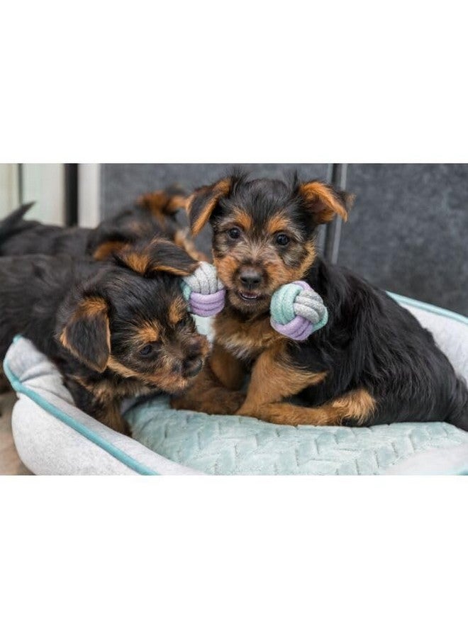 تريكسي لعبة دمبل حبلية صغيرة ذاتية اللعب للكلاب العدوانية التي تمضغ للعب وتشجيع الترابط - 22 سم - Image 4