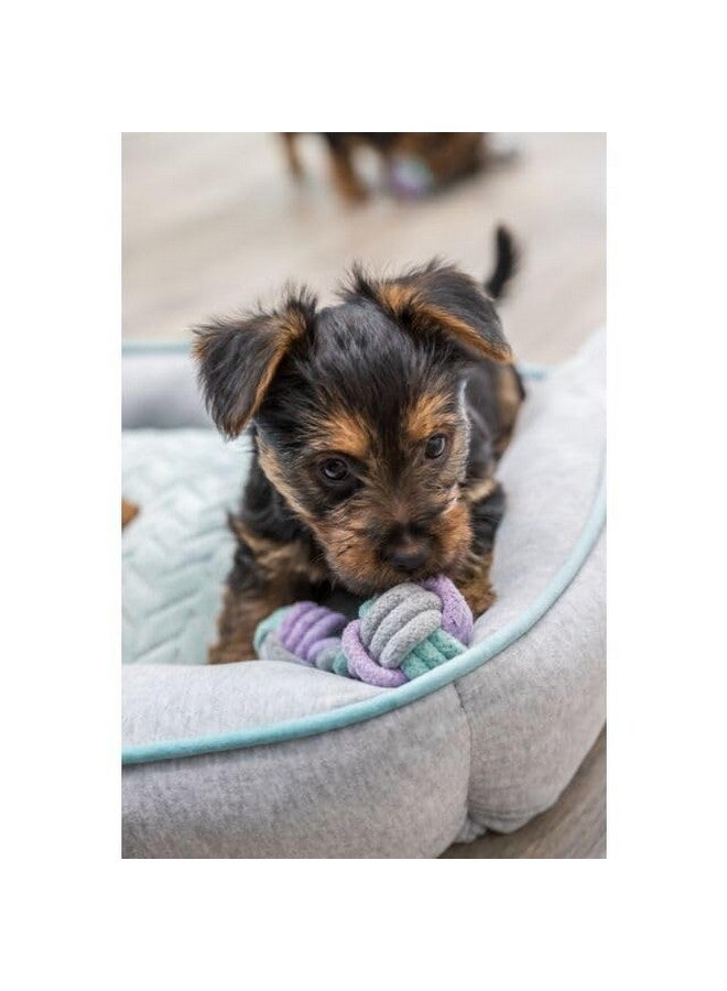 تريكسي لعبة دمبل حبلية صغيرة ذاتية اللعب للكلاب العدوانية التي تمضغ للعب وتشجيع الترابط - 22 سم - Image 5