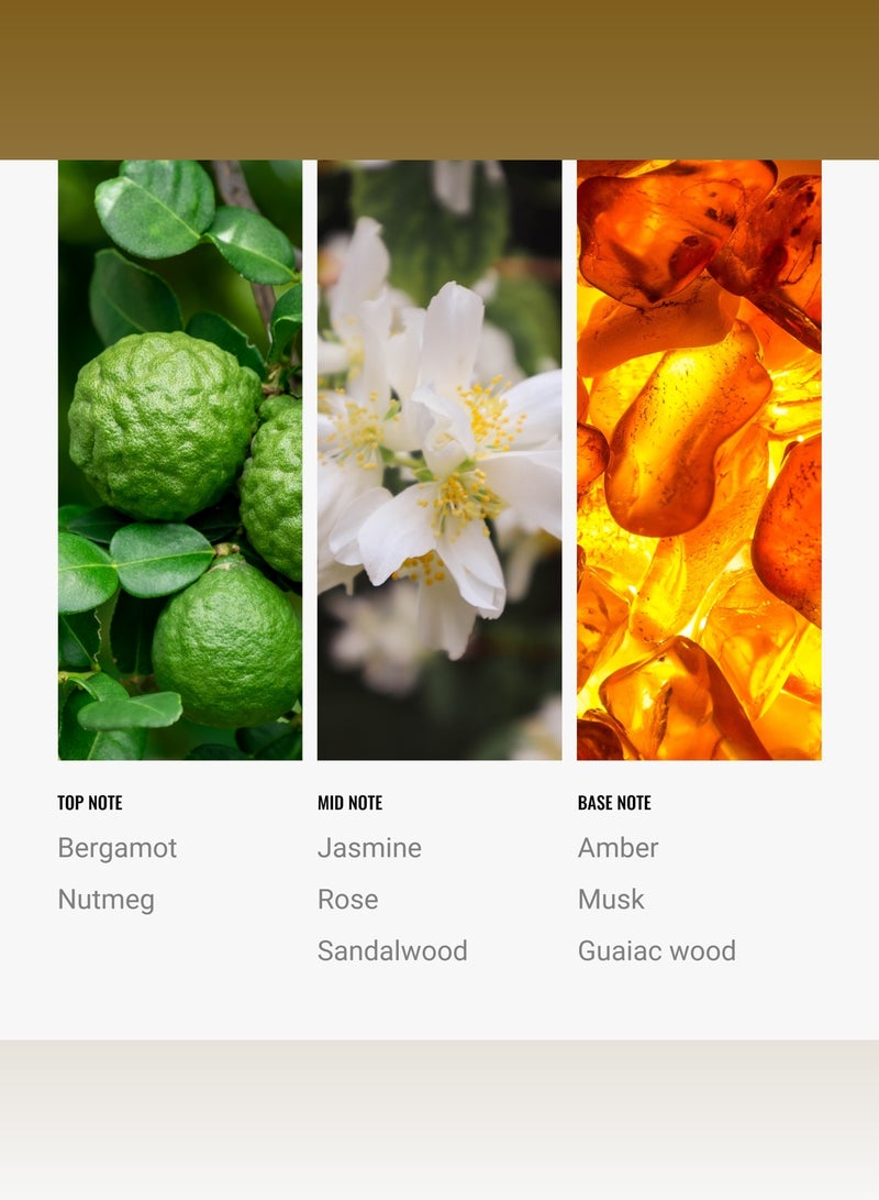 Hotel Collection Bonbori Pro-Pod Oil Blend - Hotel Inspired for Luxury Essential Oil Diffusers - Aromatherapy Scent Diffuser Oil - Bergamot, Jasmine, and Rose  - Image 3
