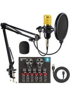Generic Condenser Microphone for PC Studio with V8 Sound Card  - Image 3