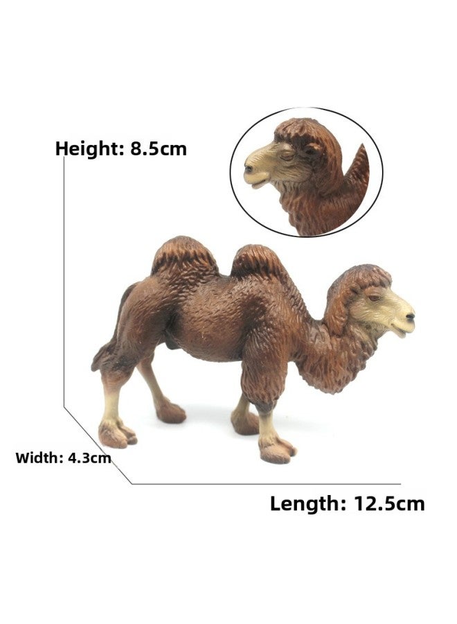 Children's Cognitive Simulation Animal Toy Solid Animal Model Double Peak Camel Single Peak Camel Desert Boat Ornaments