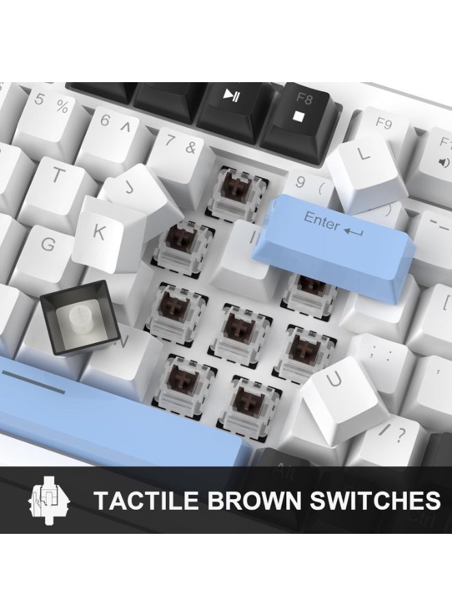 MageGee MageGee 75% Mechanical Gaming Keyboard, Compact Blue Backlit Wired Gaming Keyboards with Brown Switches, EVA Foam, Knob Control, STAR75 Portable NKRO PC Gaming Keyboard - White & Blue  - Image 4