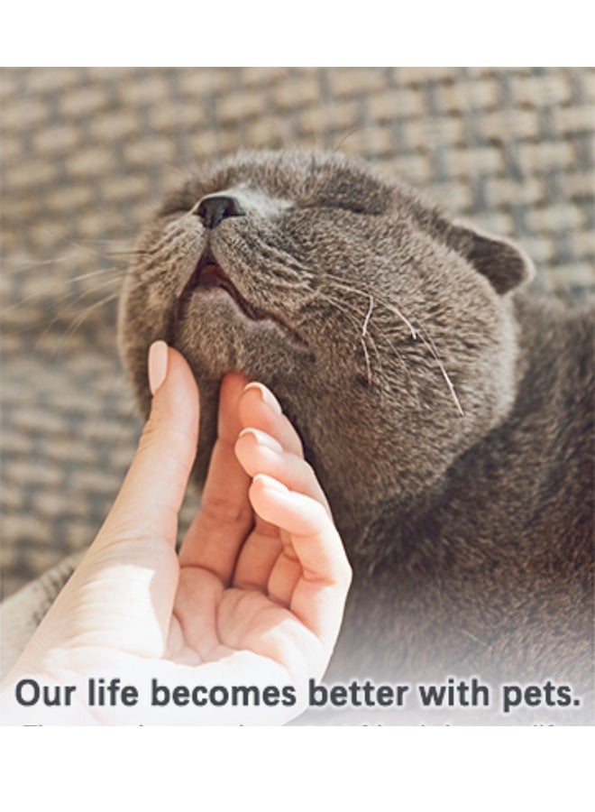 LAPET 6 Packs Cat Water Fountain Filters for WF040 Filter Element Replacement Activated Carbon Filter for Pet Automatic Drinking Feeder Accessories - Image 4