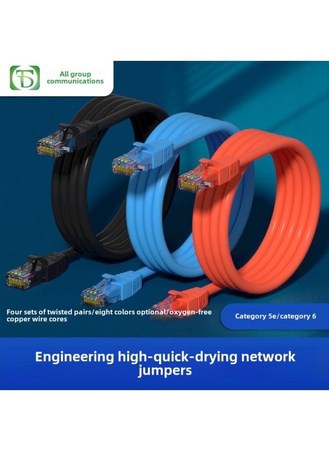 Generic Household Engineering FS/UTP Super Category 5 Or 6 Unshielded Jumper Network Connection Line Oxygen-Free Copper Network Cable Gigabit Computer-Color:Ultra Class 5 Non-shielded Jumper (dark Gray) Oxygen-free Copper-Line Length:0.5 M  - Image 2