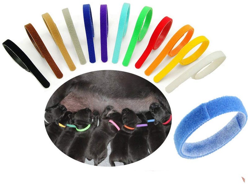 Sowaka12 Pcs Puppy Whelping Collars Multicolor Adjustable Double Sided Reusable Comfortable Soft Fabric ID Bands for Small Dogs Pet Cat Newborn Kittens Litter (12 Color) - Image 1