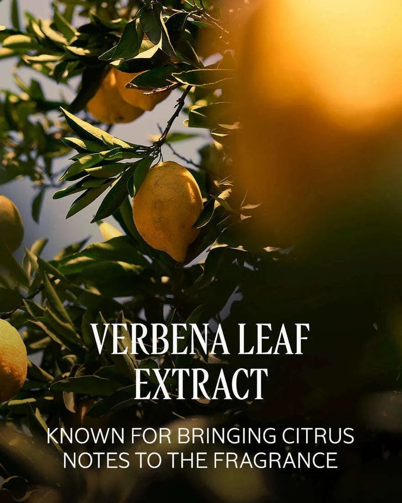 L'Occitane Verveine Agrumes Hand Cream Gel 30ml - Image 2