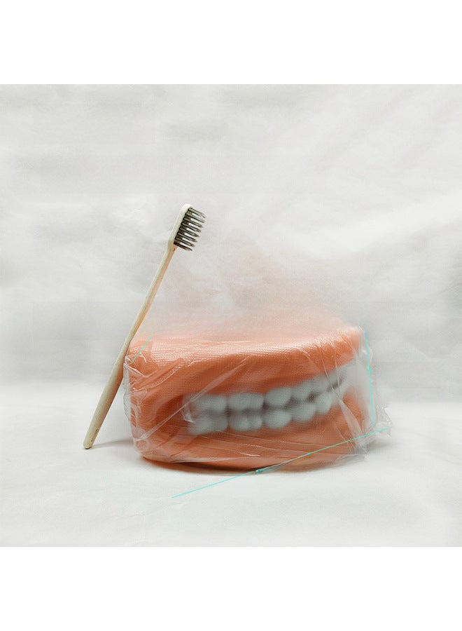 Oral Health Care Tooth Model Kindergarten Teaching Aids Children Brush Teeth Toy Dental Demonstration Structure-Color:Teeth-no Toothbrush - Image 5