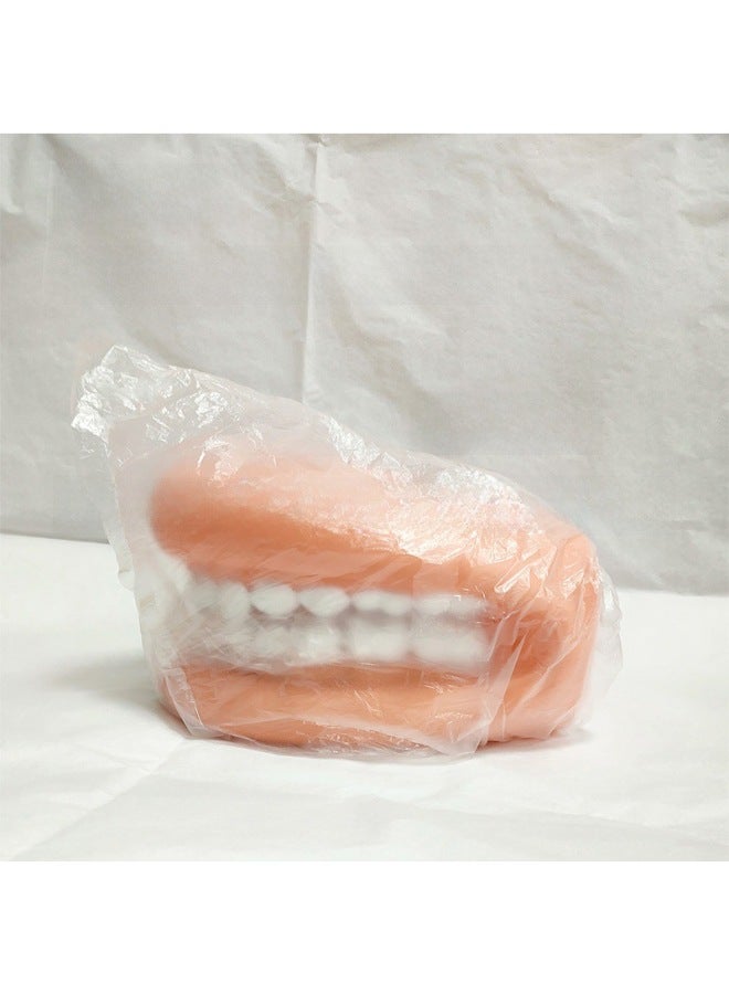 Oral Health Care Tooth Model Kindergarten Teaching Aids Children Brush Teeth Toy Dental Demonstration Structure-Color:Teeth-no Toothbrush - Image 1