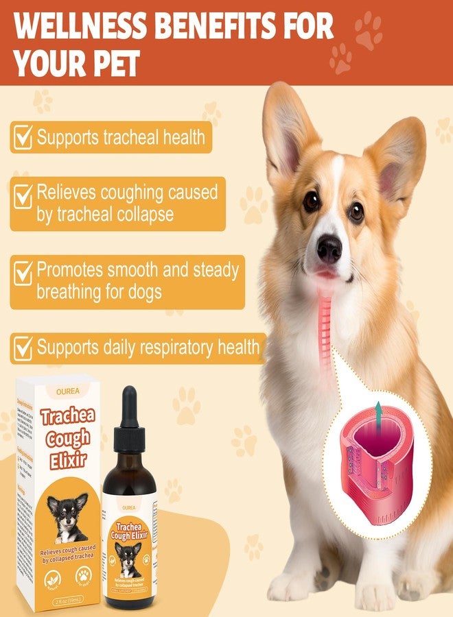 Yakucho Collapsed Trachea Treatment for Dogs, Dog Cough Treatment, Trachea Cough Elixir, Natural Herbs Help Dogs Breathe Smoothly and Support Tracheal & Respiratory Health - 59mL - Image 3
