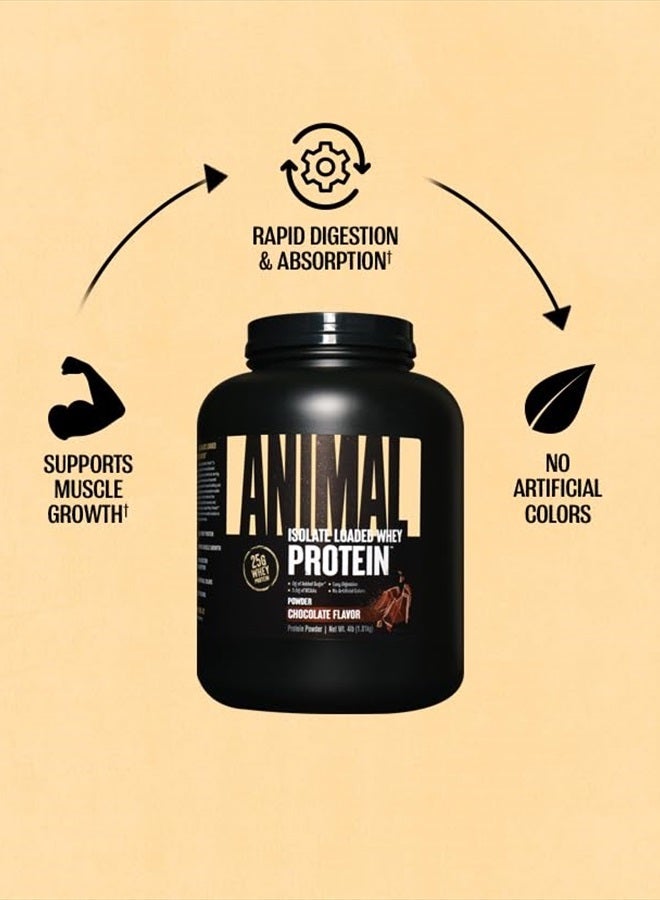 ANIMAL مسحوق بروتين واي عازل - محمّل لبناء العضلات واستعادة العافية قبل وبعد التمرين مع إنزيمات هضمية للرجال والنساء - 25 جرام بروتين، طعم رائع، سكر منخفض - شوكولاتة 4 رطل - Image 4