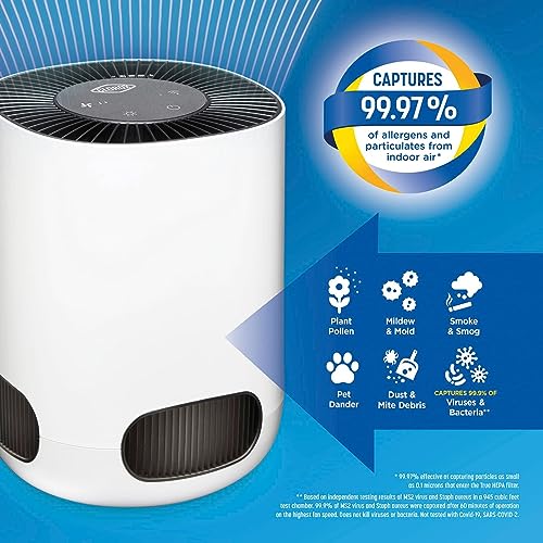 Clorox Smart Air Purifiers for Bedroom Home, True HEPA Filter, Works with Alexa, Small Rooms up to 200 Sq Ft, Removes 99.9% of Viruses, Wildfire Smoke, Mold, Allergies, Dust, AUTO Mode, Whisper Quiet - Image 5