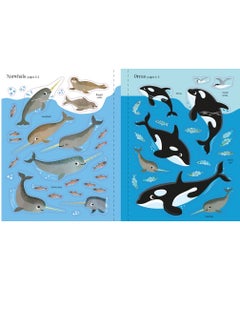 Usborne First Sticker Book: Narwhals – Fun and Educational Sticker Activity Book for Kids, Cute Narwhal Scenes, Creative Play, Ages 3+ - pzsku/ZAD24214856E10BFACB99Z/45/_/1738065021/c4f9b0a0-d0c2-48cd-b2c7-0d7e241ed8ed