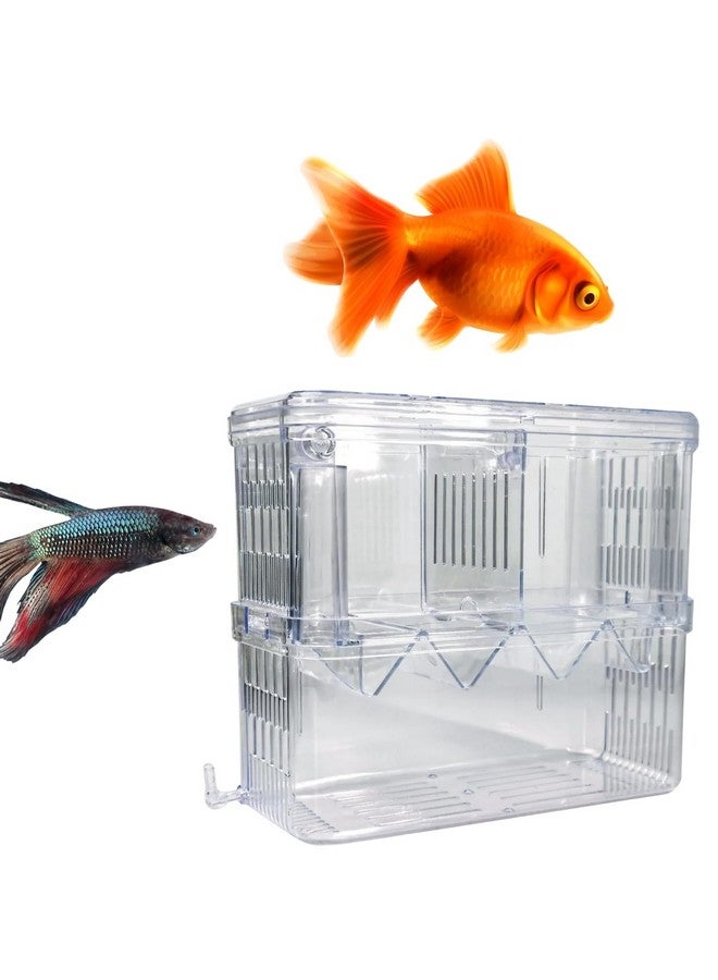 سايج سكوير حجرة عزل الأسماك، حل آمن وفعال لفصل الأسماك في أحواض السمك، فاصل الحوض، خزان حجر الأسماك، حجرة حوض السمك المقسمة، منطقة حماية الحوض - Image 1