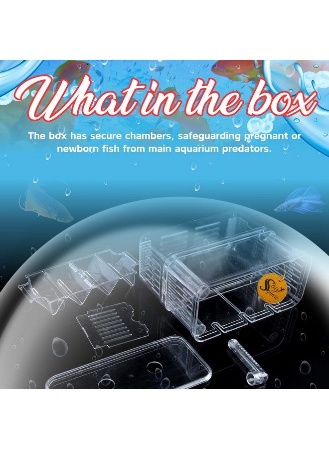 سايج سكوير حجرة عزل الأسماك، حل آمن وفعال لفصل الأسماك في أحواض السمك، فاصل الحوض، خزان حجر الأسماك، حجرة حوض السمك المقسمة، منطقة حماية الحوض - Image 4