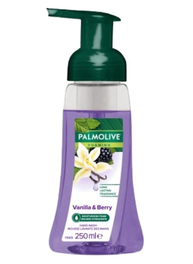 Foam Hand Wash Vanilla Berry Purple