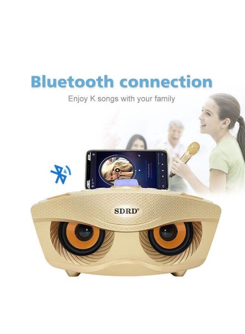 SDRD Wireless Bluetooth Speaker With 2-Piece Mic Gold - Image 2