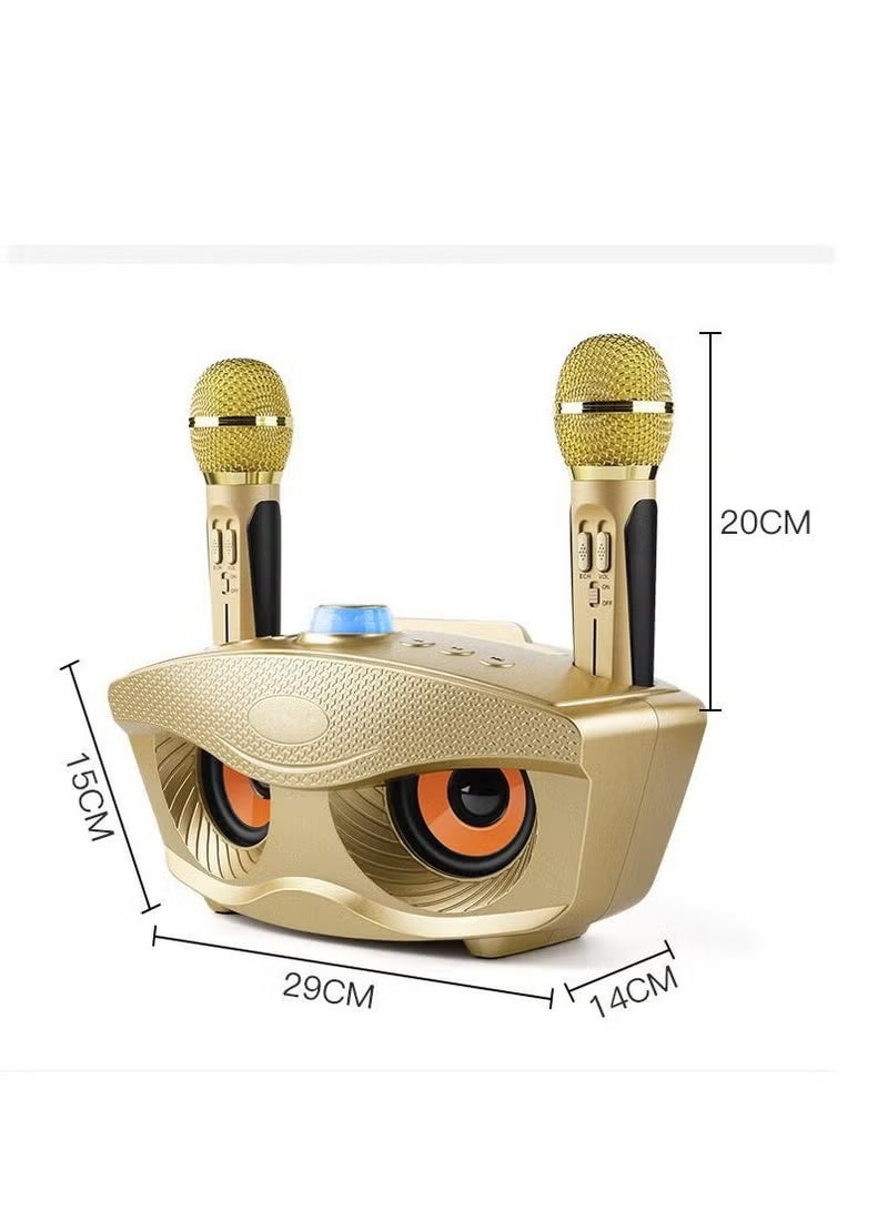 SDRD Wireless Bluetooth Speaker With 2-Piece Mic Gold - Image 4