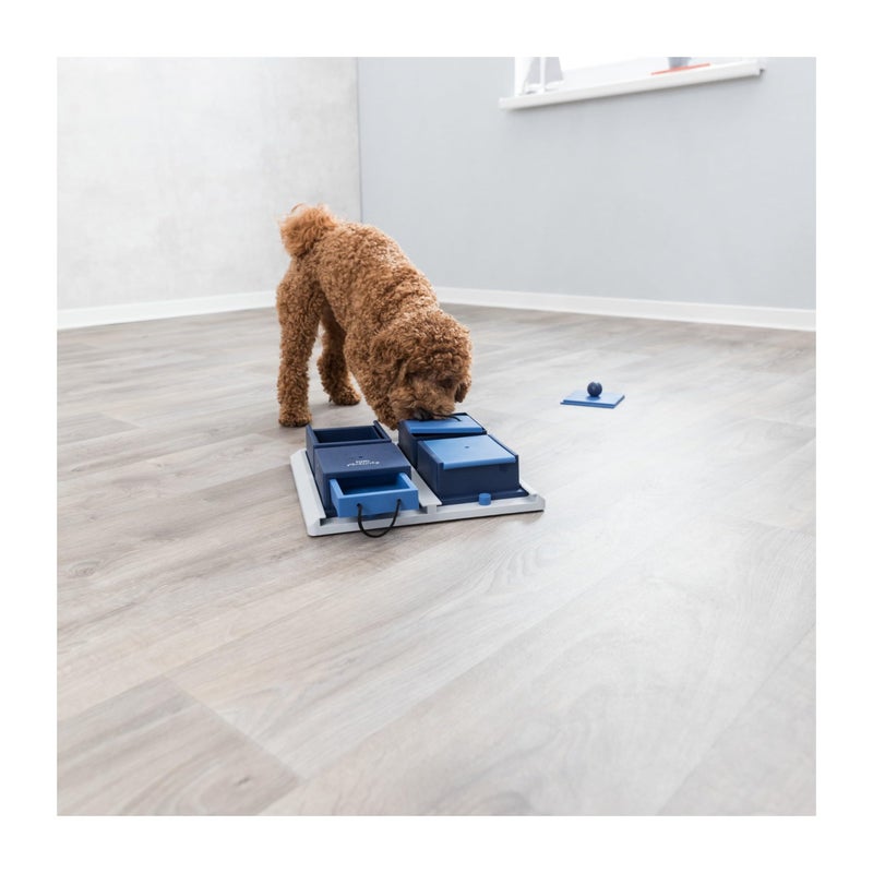 TRIXIE Poker Box 1 Dog Enrichment Toy, Intermediate Level 2 Dog Puzzle, Interactive Treat Game - Image 3