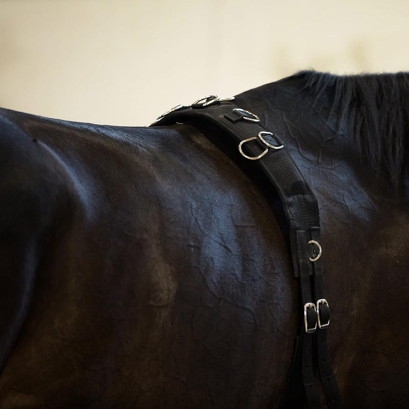 Horze Full Size Lunging Surcingle for Horses - Durable Nylon and Synthetic Leather - Image 5