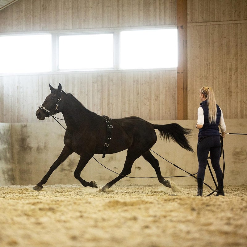Horze Full Size Lunging Surcingle for Horses - Durable Nylon and Synthetic Leather - Image 4