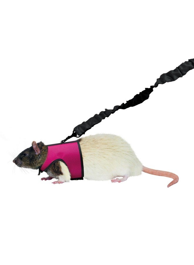 Kaytee Comfort Harness And Stretch Leash Small - Image 5