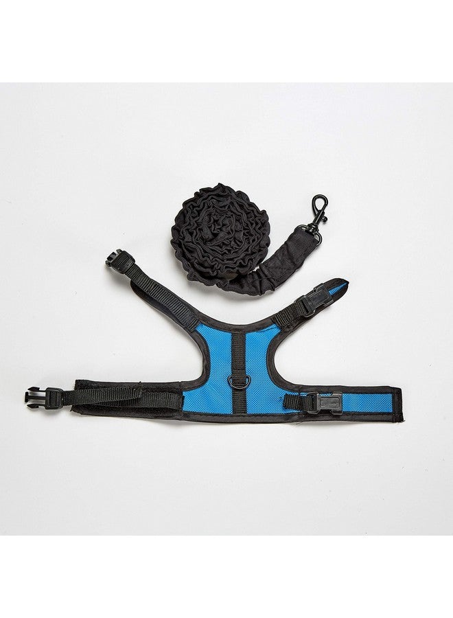 Kaytee Comfort Harness And Stretch Leash Small - Image 4