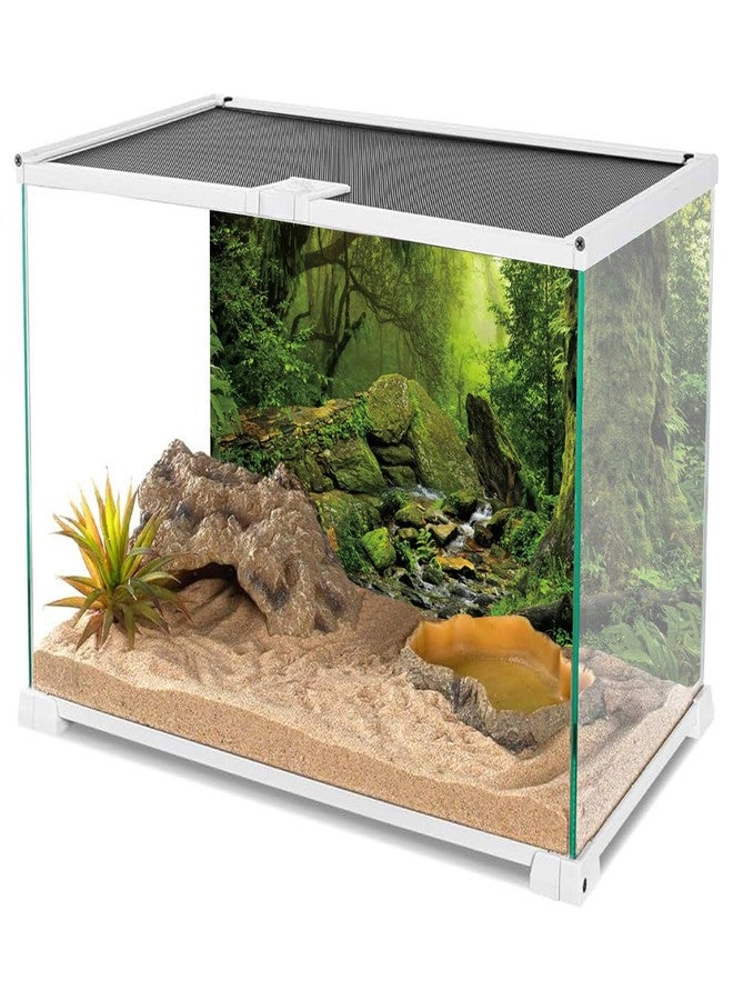 AWERT Tropical Forest Terrarium Background Stream Green Huge Tree Reptile Habitat Background Foggy Rainforest Aquarium Background 48x20 inches Durable Polyester Background - Image 3