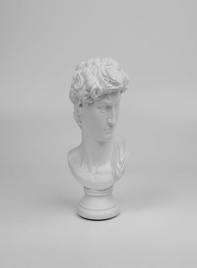 Artarium Statue of David Bust Resin Sculpture for Roman Bookshelf Tabletop Office Home Decor Roman Sculpture Decoration David Figurine 8 Inch Gift for Friends Colleague - Image 2