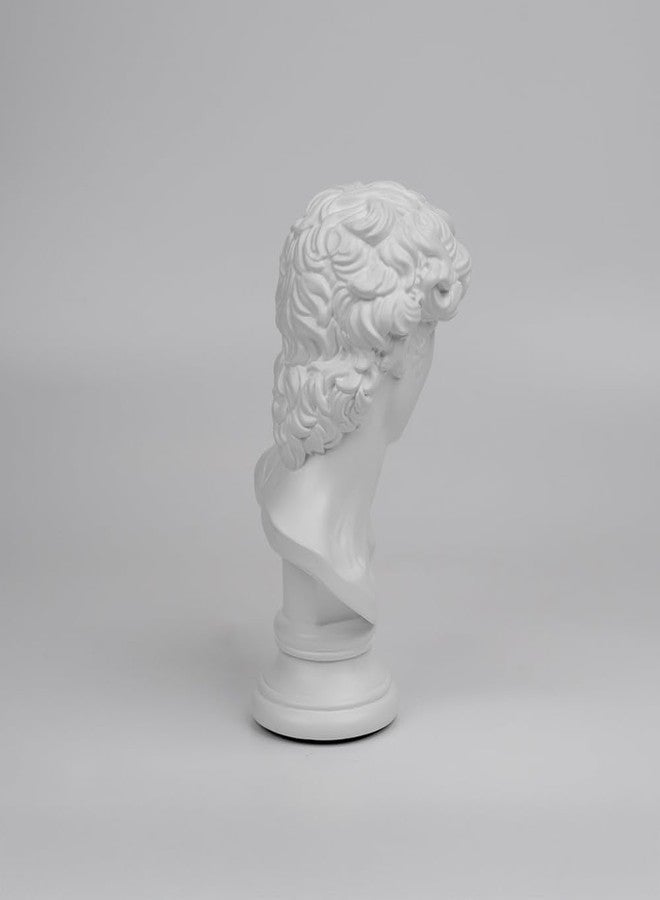 Artarium Statue of David Bust Resin Sculpture for Roman Bookshelf Tabletop Office Home Decor Roman Sculpture Decoration David Figurine 8 Inch Gift for Friends Colleague - Image 4