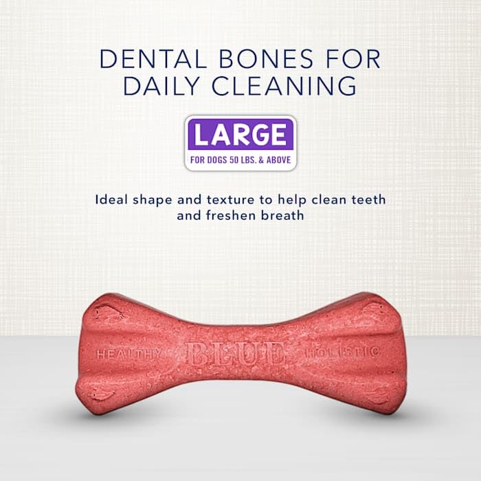 Blue Buffalo Dental Bones Large Natural Dental Chew Dog Treats Bag Jumbo Pack - Image 3