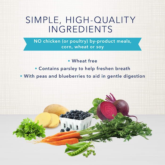 Blue Buffalo Dental Bones Large Natural Dental Chew Dog Treats Bag Jumbo Pack - Image 4