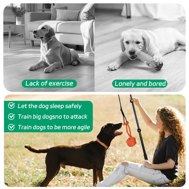 AmaCielo Flirt Pole for Dogs, Interactive Toys Tug-of-war for Pet, Durable Teaser Wand, Chase Toys with Rope Chewing Sticks, for Outdoor Exercise & Training - Image 5