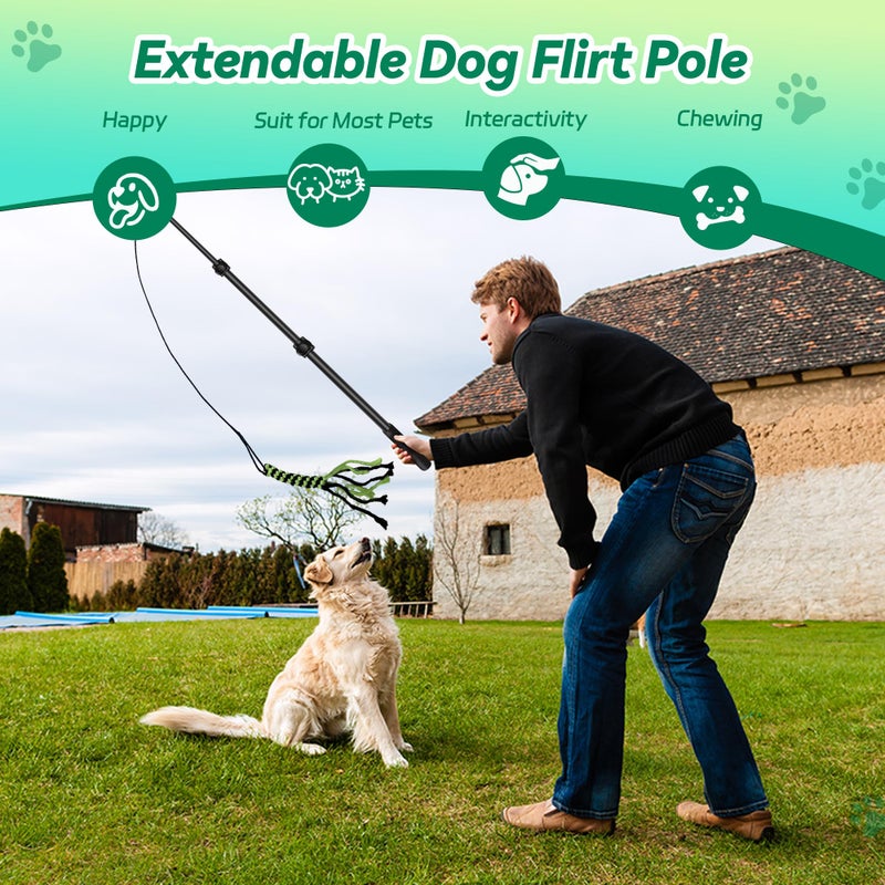 AmaCielo Flirt Pole for Dogs, Interactive Toys Tug-of-war for Pet, Durable Teaser Wand, Chase Toys with Rope Chewing Sticks, for Outdoor Exercise & Training - Image 4