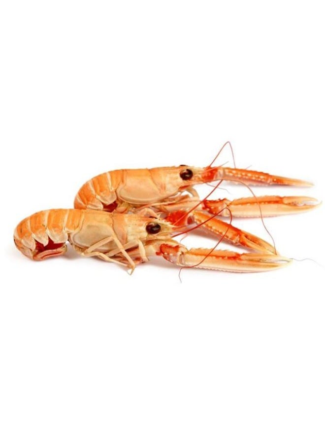 Whole Langoustines, 1 Kg - 9-13 Pieces, Netherlands