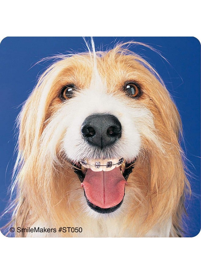 SmileMakers Dogs With Braces Dental Stickers Prizes And Giveaways 100 Per Pack - Image 3