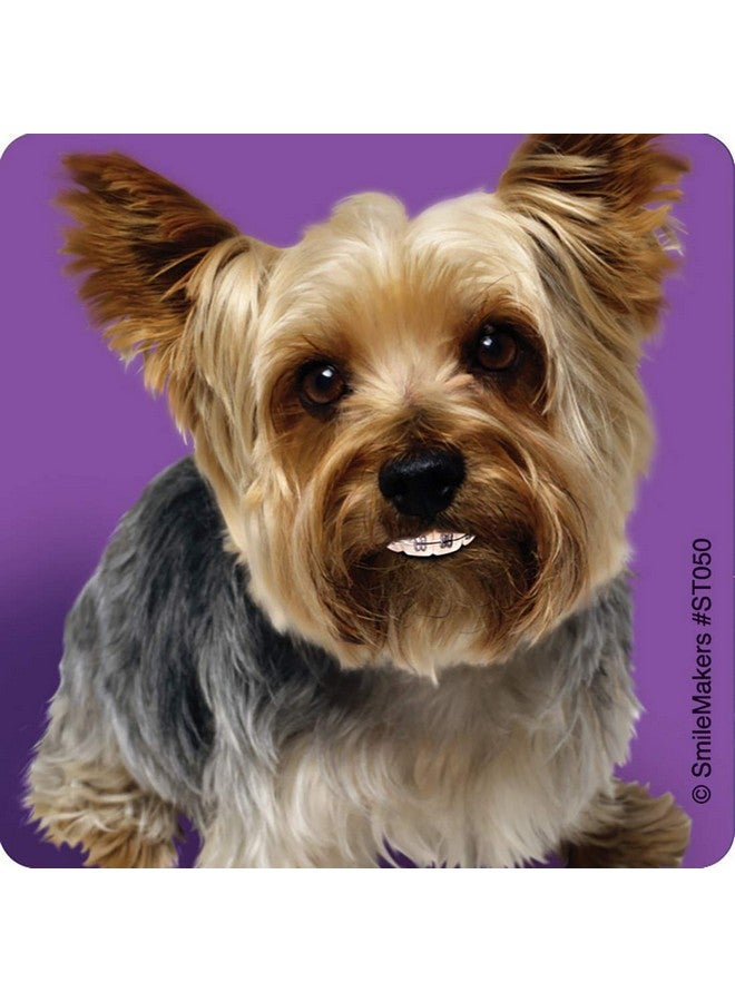 SmileMakers Dogs With Braces Dental Stickers Prizes And Giveaways 100 Per Pack - Image 4