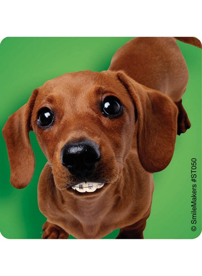 SmileMakers Dogs With Braces Dental Stickers Prizes And Giveaways 100 Per Pack - Image 5
