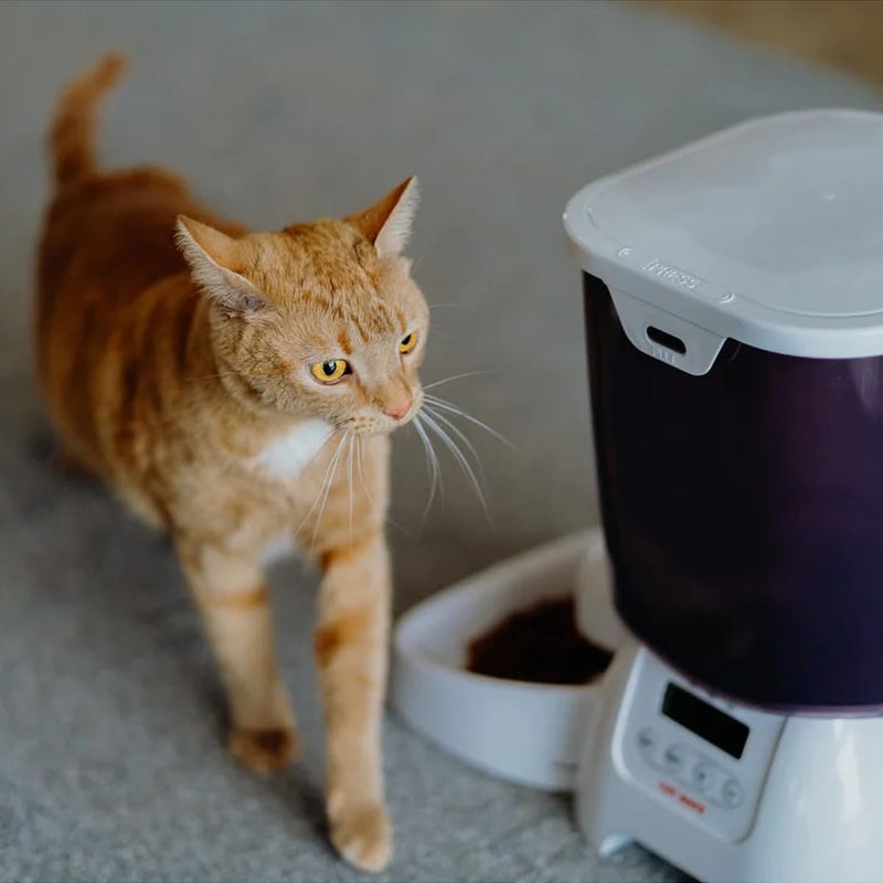 Cat Mate C3000 Automatic Dry Food 3-Meal Feeder, BPA Free for Cats & Small Dogs - Image 4