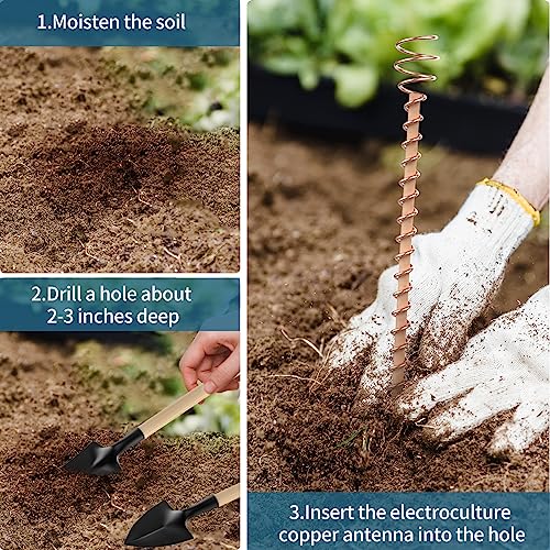 GUSUCIN Electroculture Plant Stakes, 6 Pack 17" Long Electroculture Gardening Copper Coil Antennas for Growing Garden, Plants and Vegetables, High-Yield, Eco-Friendly, Growing Healthy and Fast - Image 5