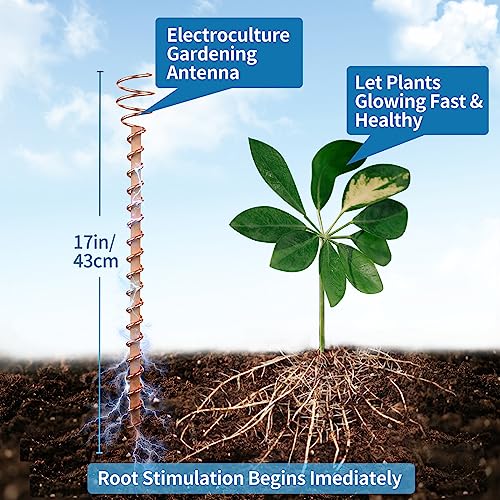 GUSUCIN Electroculture Plant Stakes, 6 Pack 17" Long Electroculture Gardening Copper Coil Antennas for Growing Garden, Plants and Vegetables, High-Yield, Eco-Friendly, Growing Healthy and Fast - Image 4