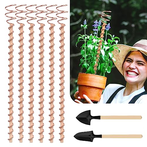 GUSUCIN Electroculture Plant Stakes, 6 Pack 17" Long Electroculture Gardening Copper Coil Antennas for Growing Garden, Plants and Vegetables, High-Yield, Eco-Friendly, Growing Healthy and Fast - Image 1