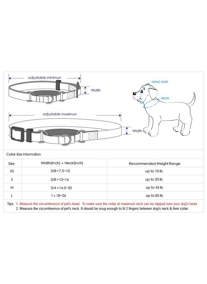 Blueberry Pet 4 Colors 3M Reflective Multi-Colored Stripe Martingale Safety Training Dog Collar, Violet and River Blue, Small, Heavy Duty Adjustable Collars for Dogs - pzsku/ZAD359CED09FF9E654AE0Z/45/_/1737031505/e204e526-007a-4352-ba07-f41731722bae