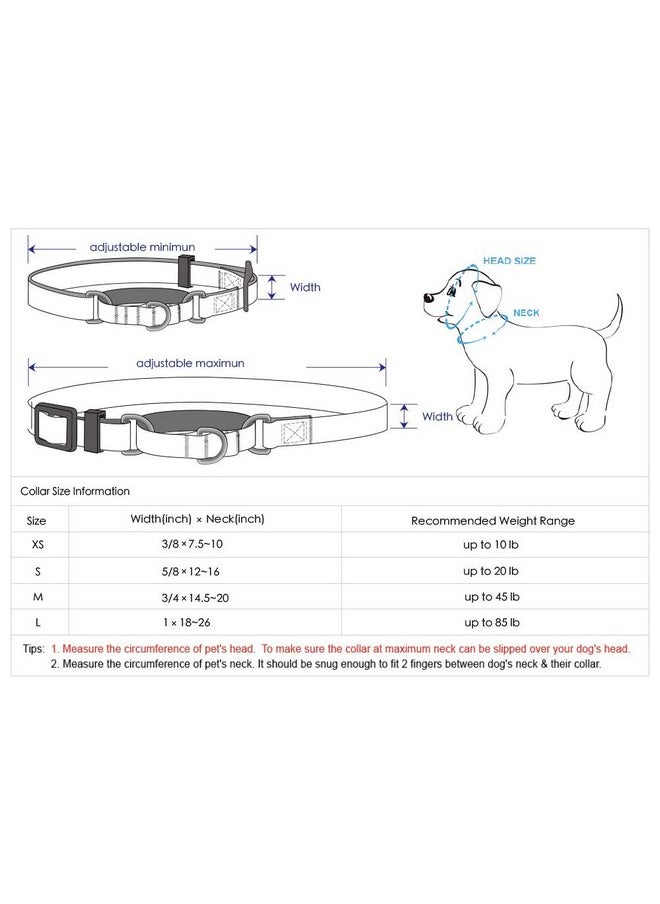 Blueberry Pet Blueberry Pet 4 Colors 3M Reflective Multi-Colored Stripe Martingale Safety Training Dog Collar, Violet and River Blue, Small, Heavy Duty Adjustable Collars for Dogs  - Image 5