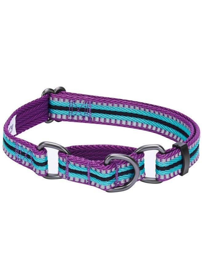 Blueberry Pet Blueberry Pet 4 Colors 3M Reflective Multi-Colored Stripe Martingale Safety Training Dog Collar, Violet and River Blue, Small, Heavy Duty Adjustable Collars for Dogs  - Image 1
