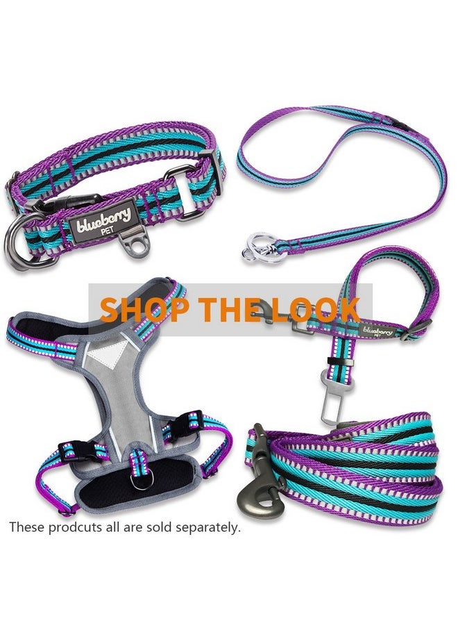 Blueberry Pet Blueberry Pet 4 Colors 3M Reflective Multi-Colored Stripe Martingale Safety Training Dog Collar, Violet and River Blue, Small, Heavy Duty Adjustable Collars for Dogs  - Image 2