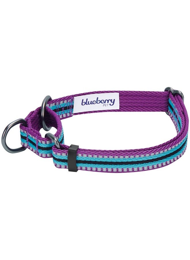 Blueberry Pet Blueberry Pet 4 Colors 3M Reflective Multi-Colored Stripe Martingale Safety Training Dog Collar, Violet and River Blue, Small, Heavy Duty Adjustable Collars for Dogs  - Image 3