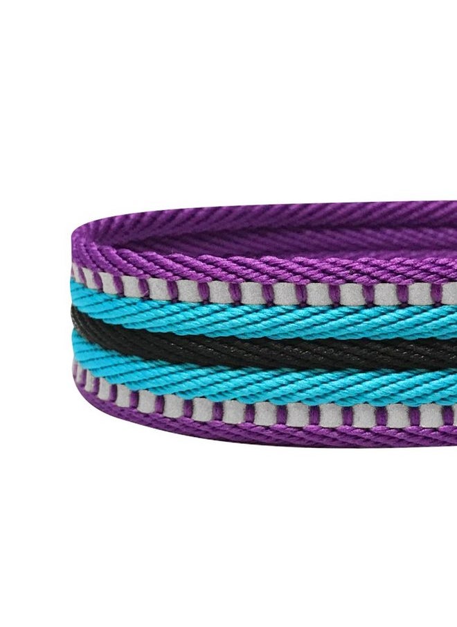 Blueberry Pet Blueberry Pet 4 Colors 3M Reflective Multi-Colored Stripe Martingale Safety Training Dog Collar, Violet and River Blue, Small, Heavy Duty Adjustable Collars for Dogs  - Image 4