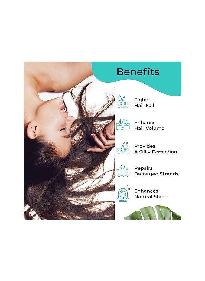 PILGRIM Pilgrim Pack of 2 Hair Mask and Pack (Argan Oil)Treats Damaged, Dry and Frizzy Hair, for Hair Growth and Hair Fall Control, Sulphate and Paraben Free, Korean Beauty Secrets, 200ml+200ml  - Image 3