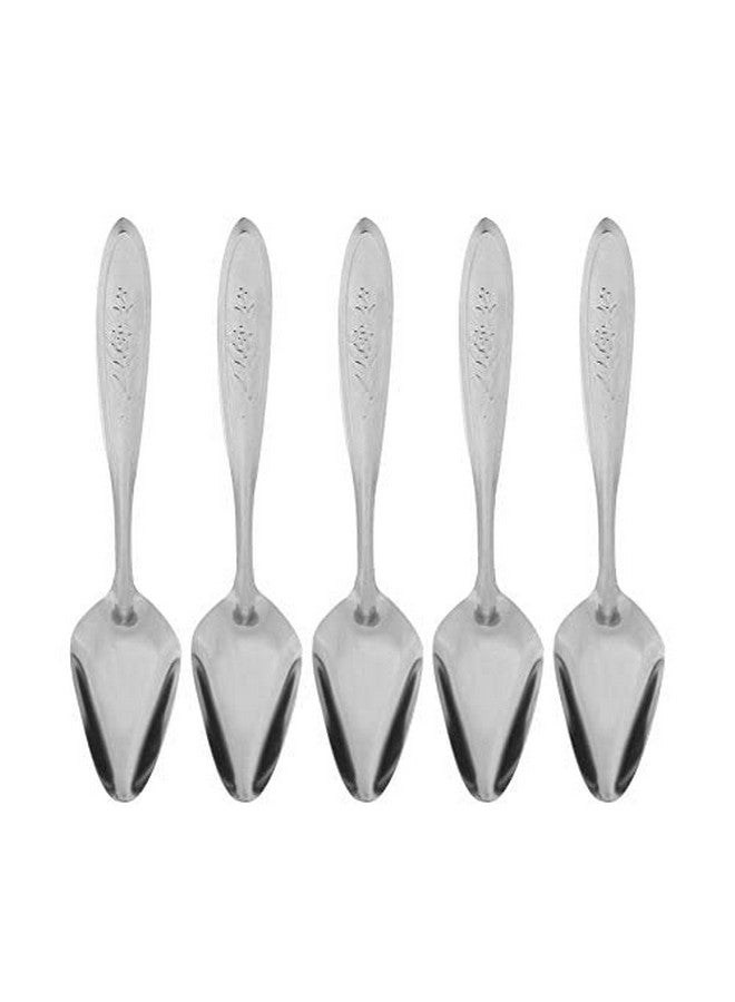 جوتوتوب ملعقة طعام GOTOTOP 5 قطع من الفولاذ المقاوم للصدأ لطعام الببغاء لجميع صغار الطيور من نوع الفاوانيا والكوكاتيل مقاس 5.9 بوصة - Image 2